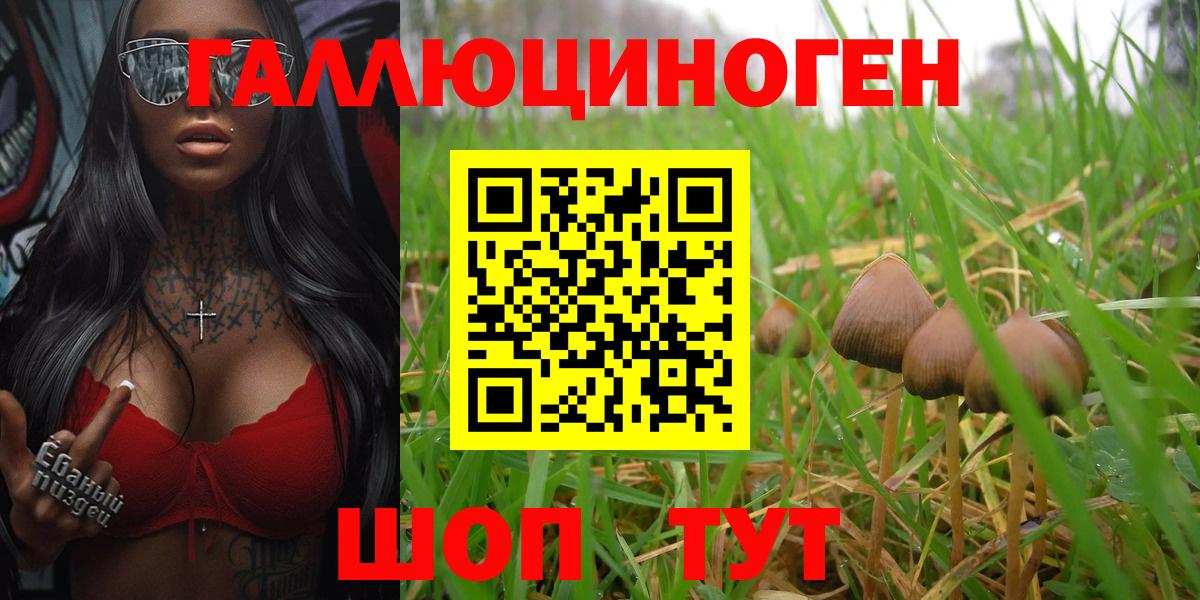 Псилоцибиновые грибы прущие грибы  Вход с VPN  Лесозаводск 